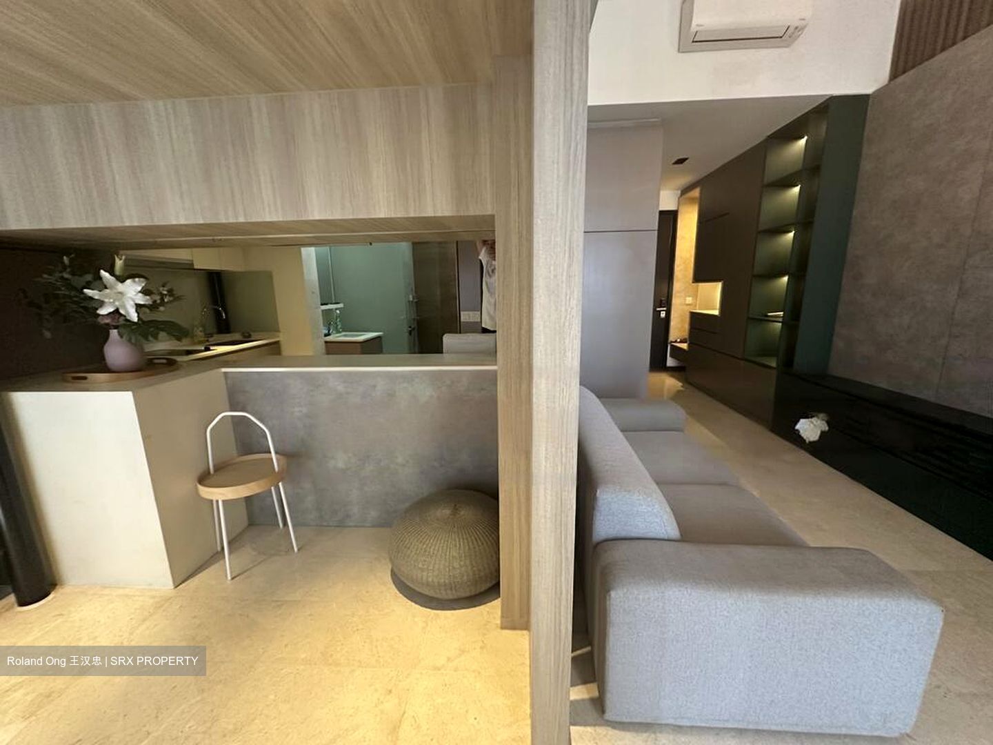 euHabitat (D14), Condominium #498116621